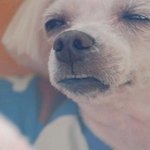 우리들의 영원한 슈퍼히어로는 <b>뉴규</b> ? ㅋㅋ