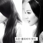 <b>헐리</b>웃 스타와 닮은 국내 연예인
