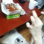 '한입 쯤 주겠지' 바라는 <b>동물</b>들