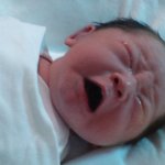 (사진多)우리집 상귀요미 자랑><♥♥