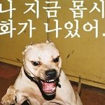 ●●야아이러브10대십샨년들●●