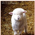 제발 여기 고등학생들