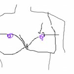 브라사이즈..(언니들만..)