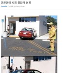 운전<b>면허</b> 떨어진 이유..jpg