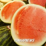 <b>수박</b>편하게먹는방법 2