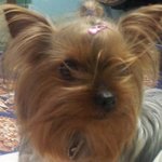 울 알콩이 ㅋㅋㅋ놀러왔어요 ㅋ