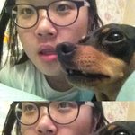 눈썹 포인트가 매력적인 땡글이
