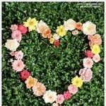 그냥 <b>한풀</b>이에요...
