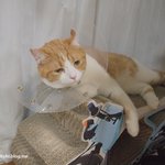 유봉이 앙즈 매거진 8월호