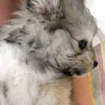 미용 전후가 충!격!적이예요