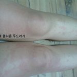 제 동생좀 구해주세요ㅜㅜㅜㅜㅜ