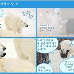 개콘의 아쉬움을 달래줄 <b>대림</b>바스 웹툰