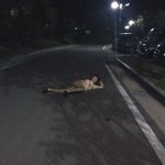 17년 로망을 이뤄낸 친구
