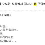 태풍및 자연재해가 오기전  동물의 이상행동