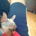 우리집 <b>보물</b>단지 구경 오시랑께