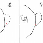 cna에서 귀뚫지 마세요 진짜