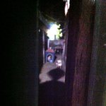 악마견과 천사견 [번외]