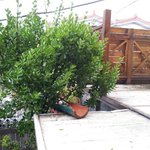 사진有 ★☆★ 멘붕상태 <b>태풍</b> 볼라벤 심각성 ★☆★