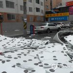 태풍때문에 대구 등굣길에 학생 부상 당했대요!