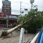 서울 전봇대 뽑혓네요 ㅋㅋㅋㅋㅋㅋㅋㅋㅋㅋㅋㅋㅋ