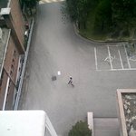 ★★★★★  볼라벤  방패<b>연남</b>  ★★★★★