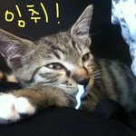 내 이름은 <b>방귀남</b>이다옹