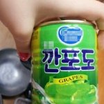 통조림 안에초파리님 등장 뚜둥!!!!!!!!!!!1