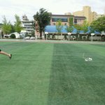 태풍을 틈타 연날리려던 남자.jpg