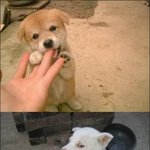 <b>여자</b> 손과 남자 손의 차이, 극과 극 <b>반응</b> `大폭소`
