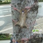 중국의 동물<b>학대</b> ㅁ ㅊ ㄴ..