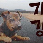 ㅠㅠ <b>개강</b>해쪄염