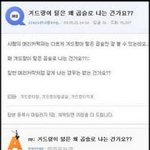 겨드랑이 털은 왜 곱슬<b>인지</b> 찾았다