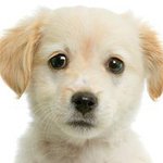 도저히 나이를 믿을 수 없게 만드는 영상!!