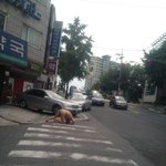 나 <b>사실</b> 영화 배우야. 판게<b>이</b>들아