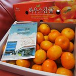 귤 <b>구입</b>했습니다~~~>_<