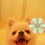 우리집 막내동생 이마리를 소개합니당당당