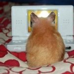 스티브잡스가 신제품발표때썼던 프레젠테이션 툴!! [키노트]