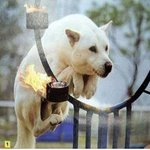 <b>우산</b>의 품격