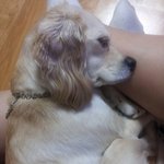 울 사랑스런 콩이♥