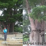 당일치기로 떠나는 우리 강 여행기 ★양평 두물머리와 여주 이<b>포보</b>★