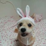 14살, 폭풍동안 할망구 예삐이야기!^^