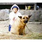 실제로 겪은 무서운 이야기(실화) - 4