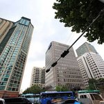 데이트 코스 추천! 서울 마포 용강동 가로수길