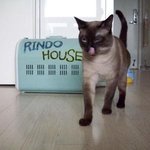 외토리야~ 외토리야~ <b>츄</b>루<b>츄</b>루추루<b>츄</b>~~