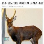 댓글이 더웃겨 ㅋㅋㅋㅋㅋㅋ<b>깜빡이</b> 꺼라잉