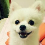 초보세종대왕과   한글이   [21탄!!!]