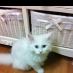 고선생 <b>강선</b>생 그리고