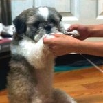 [<b>일산</b>] 제 아들을 찾습니다..