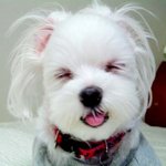 ♡아름다운 보이스를 가진 아이돌 <b>설문</b>♡