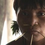 ‘아마존의 눈물’  원주민들... 주검으로